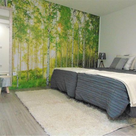 Casa Da Fonte Apartment Tarouca Ngoại thất bức ảnh